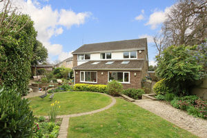 Photo 2- click for photo gallery